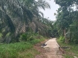 KIRIMSUS.COM Tembilahan inhil riau 197-+DESA SE INHIL MASIH ADA SAJA OKNUM KADES YANG MELANGAR PP14 THN 2008 INI PATUT DI CURIGAI DI ADANYA INDIKASI PENYALAGUAAN ANGARAN DANA ADD.DDS