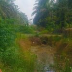 DUAGA'AN KUAT MARK-UP PROYEK REHABILITASI KANAL BANJIR DESA KEMUNING MUDA TAK SESUAI BESTEK (SPESIFIKASI)THN 2025  LEBAR 4METER YANG DI LAKSANAKAN 2 METER PAGU DANA Rp:179.305.000,00