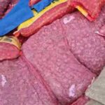 Diduga Ilegal, Puluhan Ton Komoditas Hortikultura Dari Tanjung Pinang Diamankan di Tembilahan.