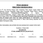 PHK di PT Inhil Sarimas Kelapa Tak Temui Titik Terang, Hak Karyawan Belum Jelas 
