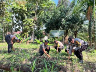 Mendukung Program Asta Cita, Dalam Rangka Ketahanan Pangan Nasional Program Holtikultura Tanaman Jagung di Polsek Tembilahan Hulu.