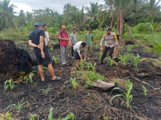 POLSEK PELANGIRAN BERGERAK BERSAMA MASYARAKAT MENDUKUNG SWASEMBADA PANGAN PROGRAM BAPAK PRESIDEN PROBOWO