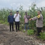SWASEMBADA PANGAN MENJADI PRIORITAS YANG BERKELANJUTAN DI MASYARAKAT BERSAMA POLSEK PELANGIRAN