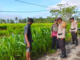 Polsek Sungai Batang Aktif Dampingi Warga, Dukung Swasembada Ketahanan Pangan di Kecamatan Sungai Batang