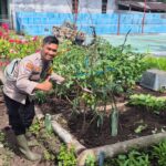 Bhabinkamtibmas Polsek Pelangiran Pantau Perkembangan Tanaman Terong dan Cabai di Desa Tagagiri Tama Jaya