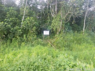 5 Bulan Laporan Masuk, Proses Sengketa Tanah di Desa Kuala Sebatu Belum Juga Berjalan