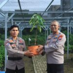 Kapolres Indragiri Hilir Bersama PJU Cek Bank Pohon dan Berikan Hadiah Pohon kepada Personel yang Berulang Tahun