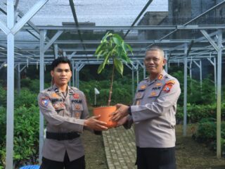 Kapolres Indragiri Hilir Bersama PJU Cek Bank Pohon dan Berikan Hadiah Pohon kepada Personel yang Berulang Tahun