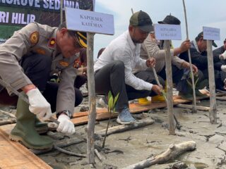 Polsek Kateman Tanam 200 Bibit Mangrove Peringati Hari Mangrove Sedunia 2026