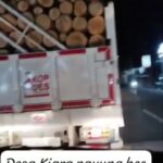 Viral Mobil Koperasi Desa Merah Putih (KDMP) di pake Ngangkut Kayu gelondongan dengan muatan melebihi kapasitasnya ,diduga menyalahi aturan